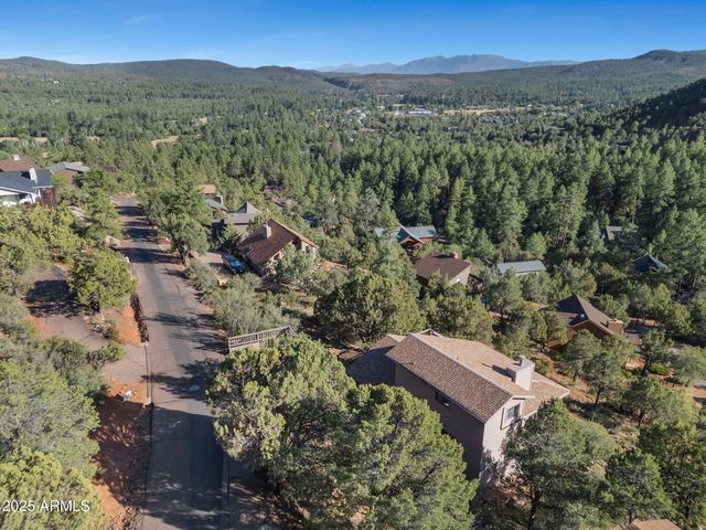 4573 N PORTAL Drive, Pine, AZ 85544