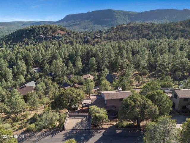 4573 N PORTAL Drive, Pine, AZ 85544