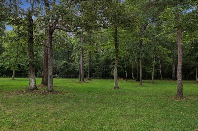 10897 Lake Forest Drive, Conroe, TX 77384