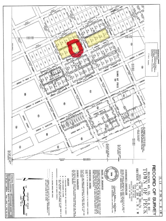 TBD Pine St Blk 56, Lot 2, Peck, ID 83545 photo 2