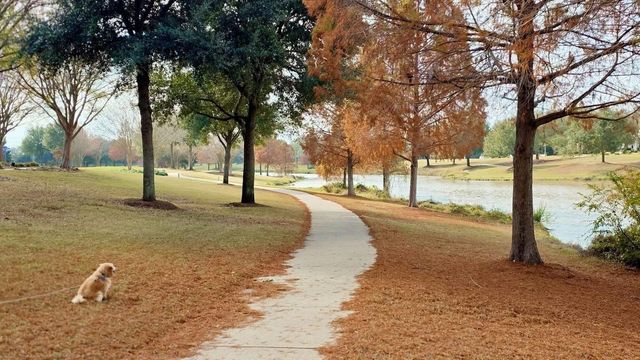 7414 Newbury Trail, Sugar Land, TX 77479