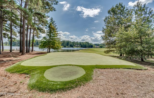 111 Johnstone Drive, Madison, MS 39110