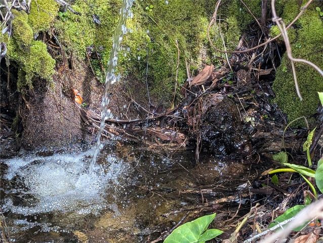 POWELL ROAD, Brooksville, FL 34602