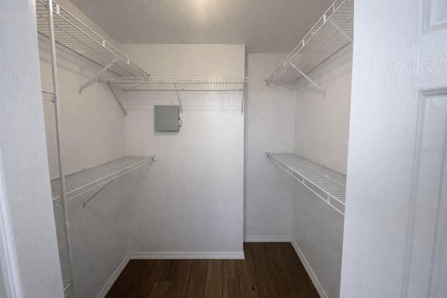 9313 Palm Tree Drive, Windermere, FL 34786