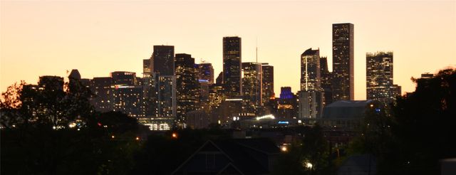 3804 Lovejoy Street, Houston, TX 77003