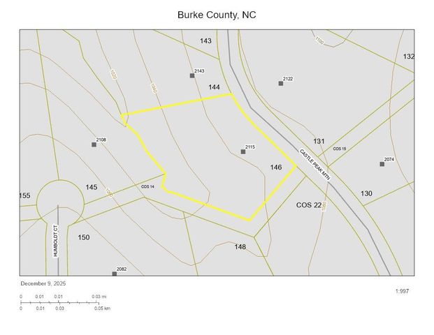 2115 Castle Peak Mountain None 144, Connelly Springs, NC 28612