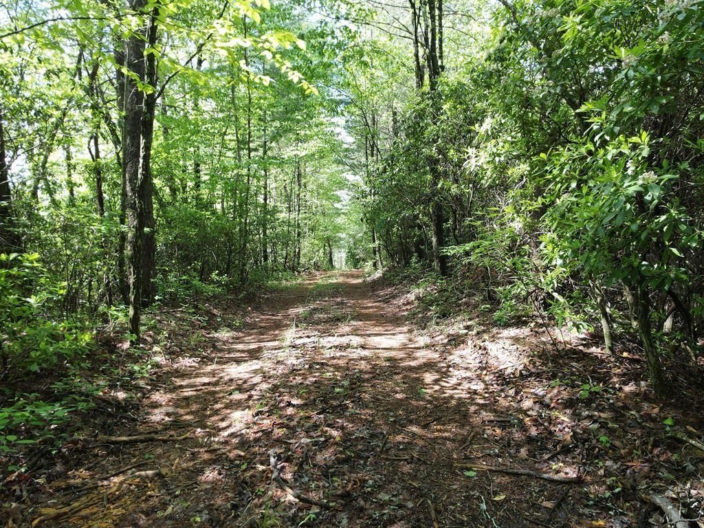 9.6 AC Ralston Creek Trail, Ellijay, GA 30536