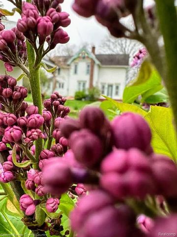 106 Lake St., Howell, MI 48843