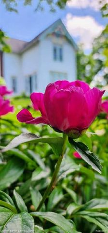 106 Lake St., Howell, MI 48843