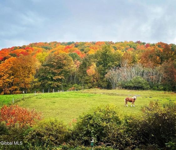 1187 County Route 31, Hebron, NY 12832