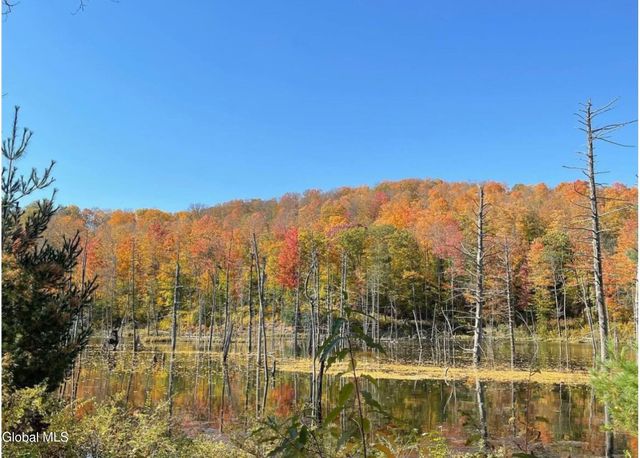 1187 County Route 31, Hebron, NY 12832