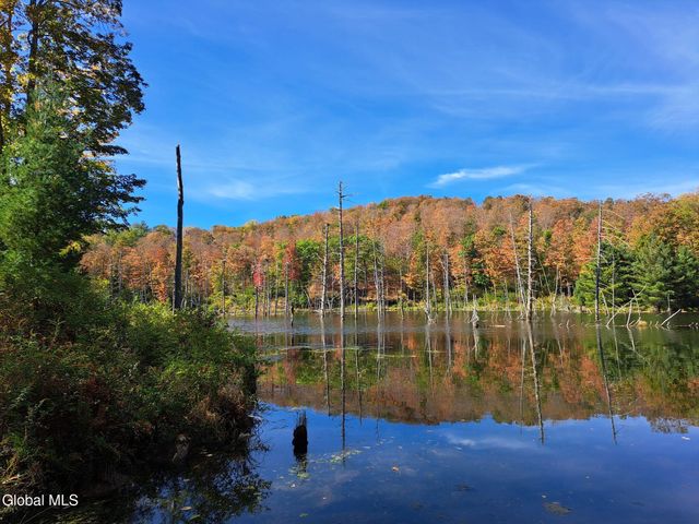 1187 County Route 31, Hebron, NY 12832