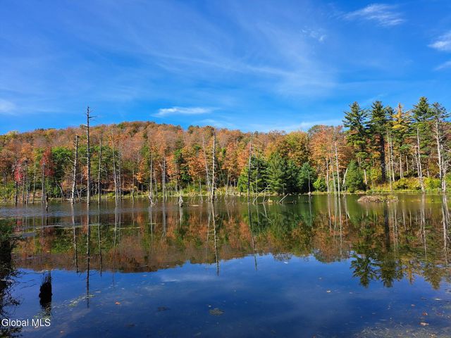 1187 County Route 31, Hebron, NY 12832