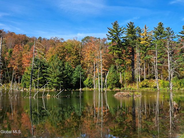 1187 County Route 31, Hebron, NY 12832