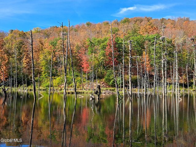 1187 County Route 31, Hebron, NY 12832