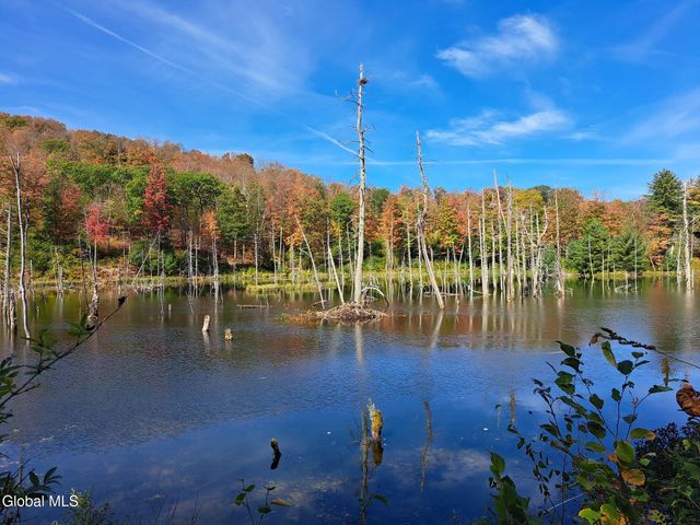 1187 County Route 31, Hebron, NY 12832