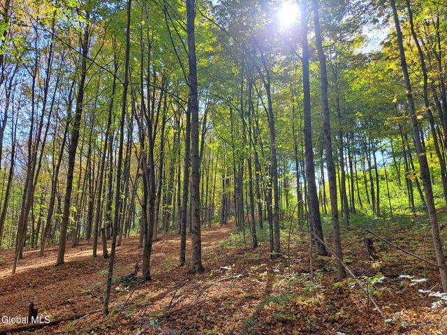 1187 County Route 31, Hebron, NY 12832