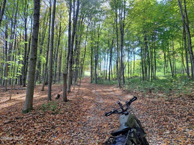 1187 County Route 31, Hebron, NY 12832