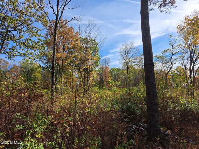 1187 County Route 31, Hebron, NY 12832