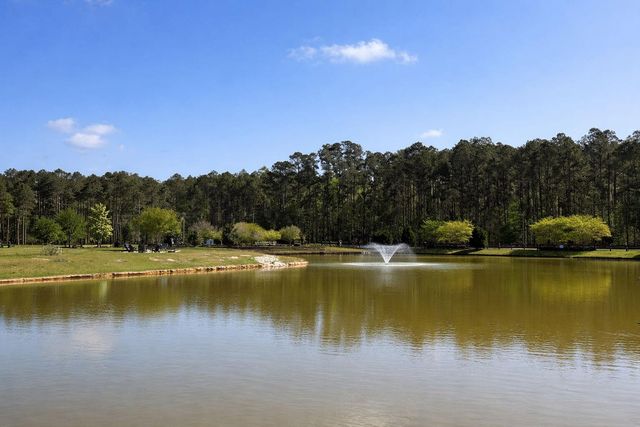 1011 Bridlewood Farms Parkway, Ridgeville, SC 29472