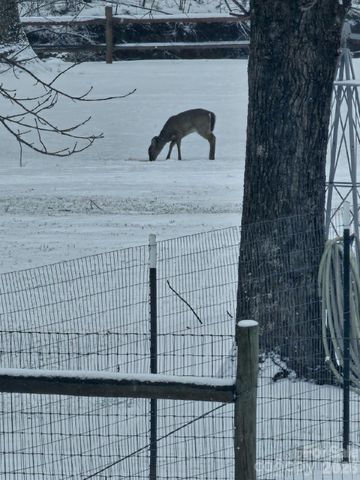 1292 Creekwood Drive, Morganton, NC 28655