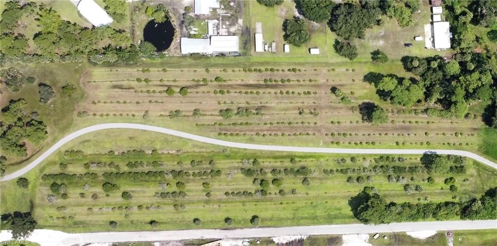 17280 BRENFIELD LN, ALVA, FL 33920 — photo 5