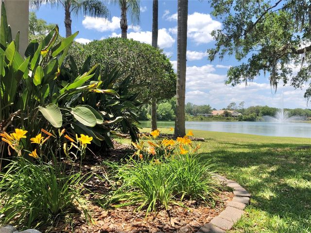 18112 LONGWATER RUN DRIVE, Tampa, FL 33647