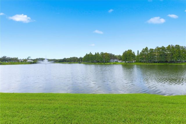 18112 LONGWATER RUN DRIVE, Tampa, FL 33647