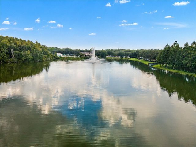 18112 LONGWATER RUN DRIVE, Tampa, FL 33647