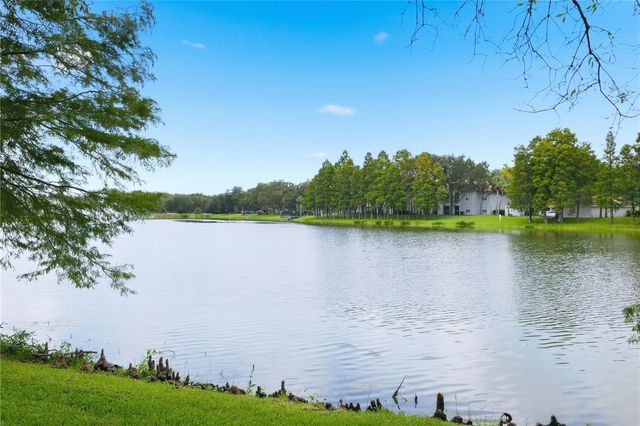 18112 LONGWATER RUN DRIVE, Tampa, FL 33647