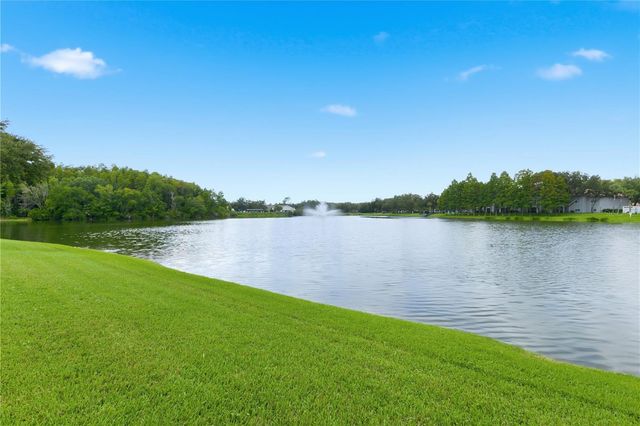 18112 LONGWATER RUN DRIVE, Tampa, FL 33647