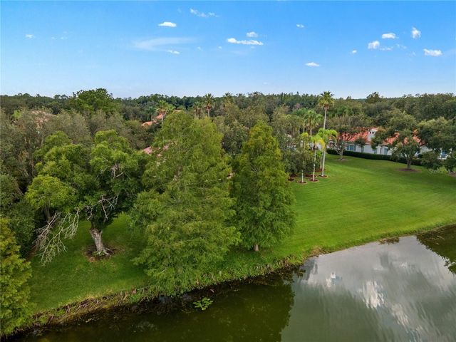 18112 LONGWATER RUN DRIVE, Tampa, FL 33647