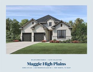 825 Mountain Aloe, Fort Worth, TX 76247
