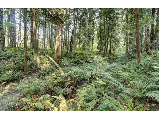 30600 Ne 98TH Ave, Battle Ground, WA 98604