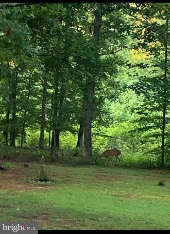 804 BUGGY, Rochelle, VA 22738