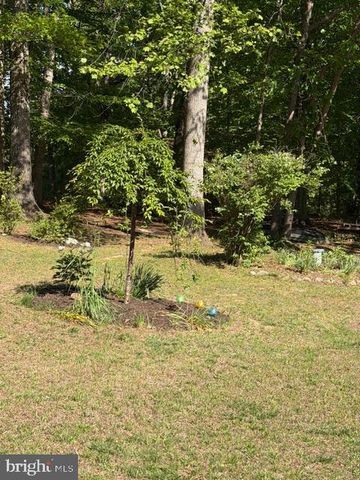 804 BUGGY, Rochelle, VA 22738