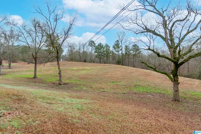 4300 BIG OAK TRAIL, Adger, AL 35006