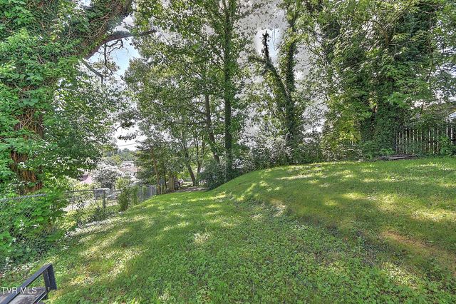 1018 Carolina Avenue, Bristol, TN 37620