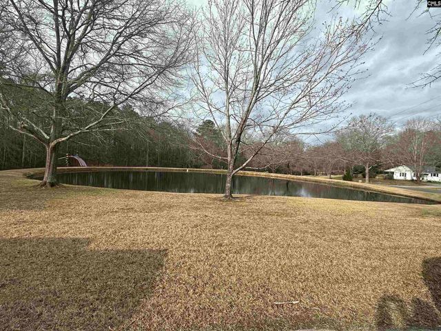 1941 Ray Price Road, Leesville, SC 29070