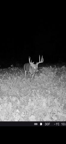 9350 75th Street NW, Byron, MN 55920