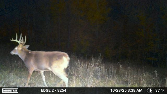 9350 75th Street NW, Byron, MN 55920