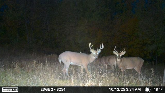 9350 75th Street NW, Byron, MN 55920