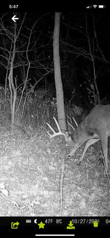 9350 75th Street NW, Byron, MN 55920