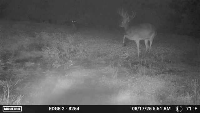 9350 75th Street NW, Byron, MN 55920