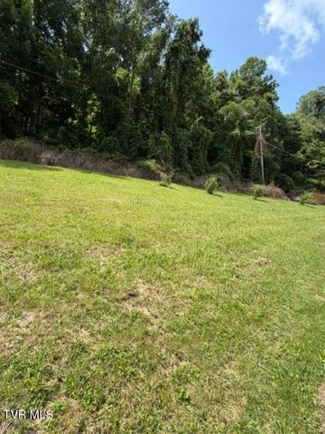 1347 Manville Road, Gate City, VA 24251