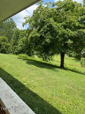 1347 Manville Road, Gate City, VA 24251