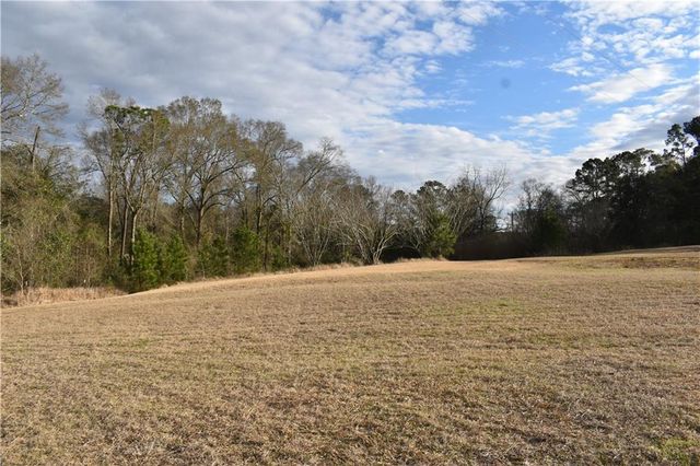 13662 Highway 45, Fruitdale, AL 36539