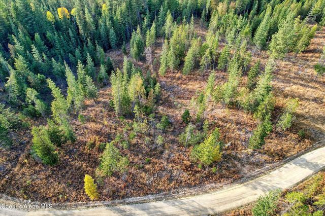 Lot 2 Pioneer LN, Priest River, ID 83856