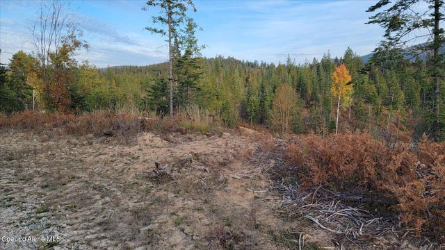 Lot 2 Pioneer LN, Priest River, ID 83856
