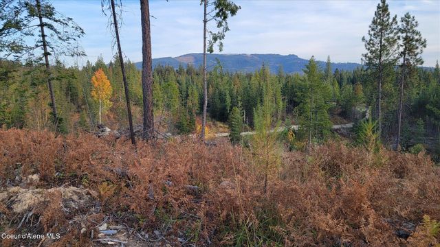 Lot 2 Pioneer LN, Priest River, ID 83856